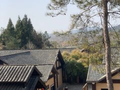 -崇阳三特浪口温泉