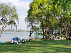 -渤公岛生态公园