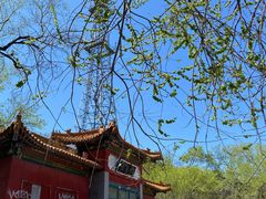 -十三陵水库