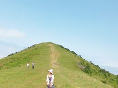 -大姆山草场