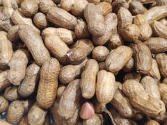 -二斗栗子(黄河道店)