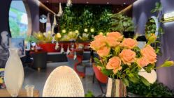 -花隐·美芙炫海菲秀皮肤管理中心