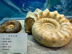 -大同煤炭博物馆