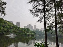 -重庆彩云湖湿地公园