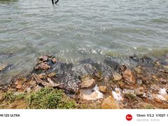 -呈贡滇池生态湿地公园