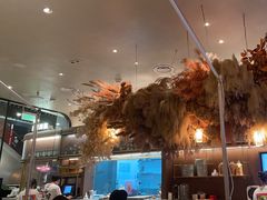 -渔语鱼新川菜Bistro(万象天地店)
