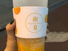 -树夏(建设路店)