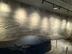 -白鹤梁水下博物馆