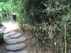 -石家庄市植物园