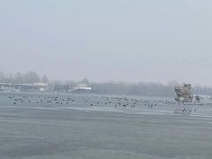 -大兴滨河森林公园