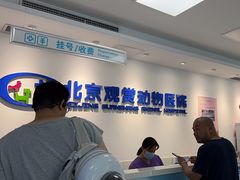 -北京观赏动物医院·24小时大型综合·猫专科·异宠专科