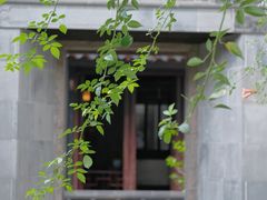 -艺圃