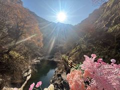 -少华山国家森林公园