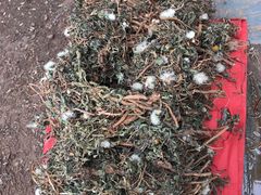 -泸沽湖国家级风景名胜区走婚桥