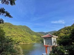 -梧桐山风景名胜区