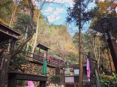 -宁海森林温泉