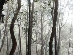 -灵顺寺