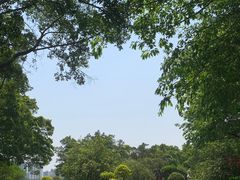 -番禺大夫山森林公园