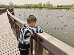 -羊亭河湿地公园