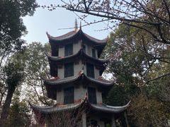 -成都杜甫草堂博物馆