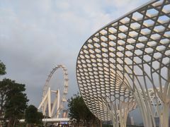 -宝安西湾红树林湿地公园