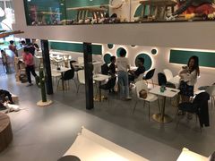 -飞行喵MR PILOT|猫舍·猫咖(静安大融城店)