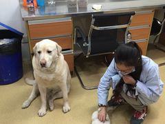 -爱侣宠医·鹦鹉专科·小型哺乳类·异宠专科(灵石路店)