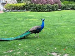 -J Create城市露营咖啡·简餐·宠物(上海动物园店)