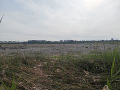-绿堤公园