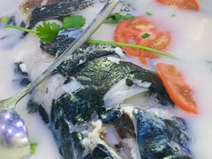 -全乐鱼馆·淳牌有机鱼直营店