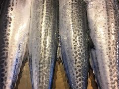 -鲜鲜·鲅鱼圈海鲜(于洪店)