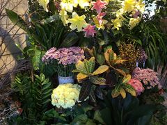 -春暖花开(西溪店)