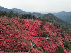 -木兰云雾山