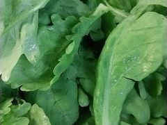 大茼菜-皇朝海鲜酒店