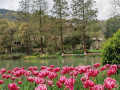 -杭州花家山庄