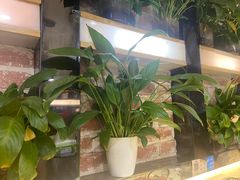 -眷江南之小蓝鲸(王府大街店)