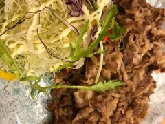 -一本钓鲔鱼屋
