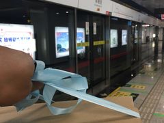 -昆明南亚风情园豪生大酒店-泰式国际海鲜自助餐厅