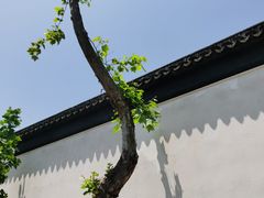 -拙政园
