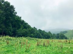-北京灵山风景区