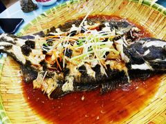 -四海蒸鲜蒸汽海鲜自助(北戴河店)