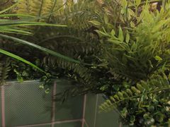 -宜家·瑞典风味餐厅(海达南街店)