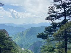 -朱雀国家森林公园
