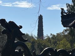 -天台山景区