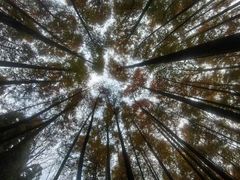 -山王坪喀斯特国家生态公园