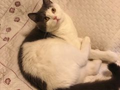 -天津前进宠物医院(前进道店)