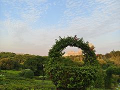 -东莞植物园