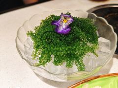 -一叶一世界•素食餐厅(环球中心店)