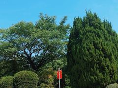 -宋庆龄陵园