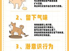 -半岛宠物医院24小时(科华中路店)